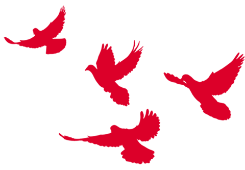 640 (3).png